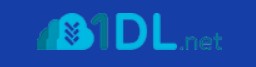 1DL.net Premium key 12 Months