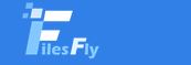 FilesFly.cc Premium Key 365 Days